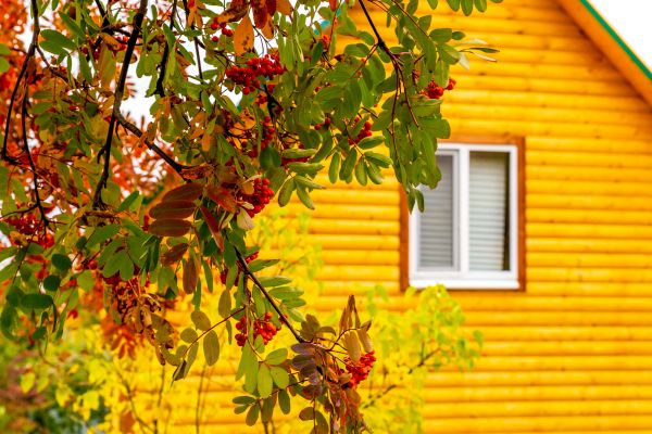 Cost of Garden Window Replacement in Belleville